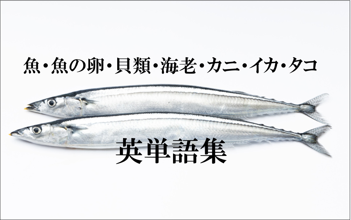 魚 魚の卵 貝類 海老 カニ イカ タコ関する英単語集 英会話ラン丨英会話上達のおすすめ学習方法