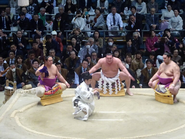 相撲を英語で説明しよう(Sumo wrestling) | 英会話ラン丨英会話上達のおすすめ学習方法